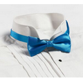 Turquoise Banded Bow Tie